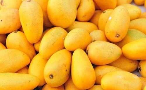 Mangoes
