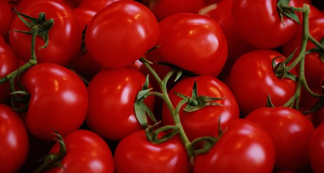Tomato